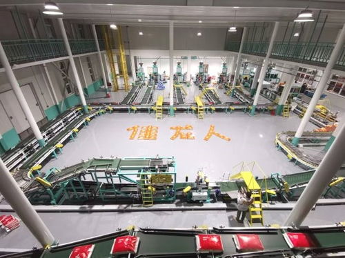 智能科技賦能傳統產業 漳州佳龍一站式包裝服務如何解放米廠工人雙手